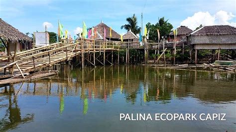 PALINA GREENBELT ECOPARK (Roxas City): All .